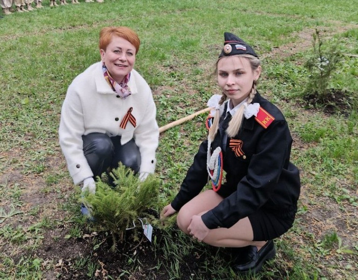 Зеленый щит Победы.